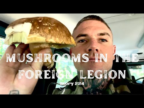 TCAV TV: Mushrooms in the Foreign Legion - Story 224