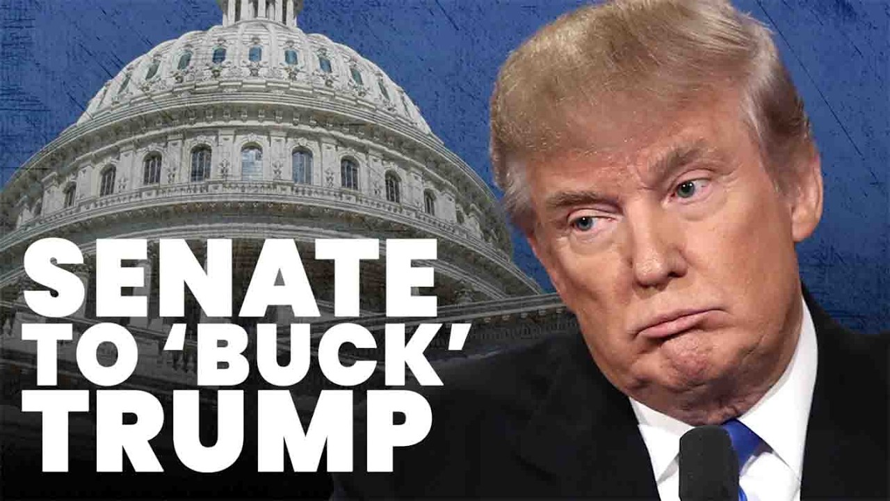 Trump sparks outrage with nominee accused of sexual misconduct with minor