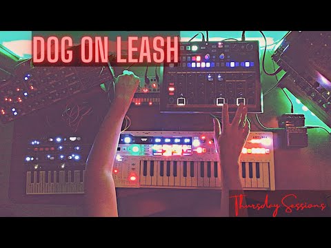 🐶 Dog On Leash 🚦 (Analog Dub Techno Jam)