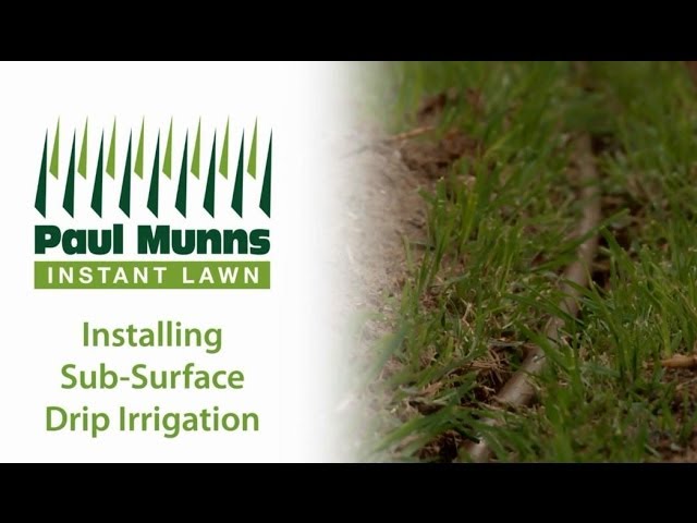 Paul Munns Instant Lawn - Hove, SA