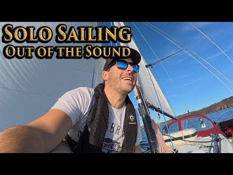 Learning to Solo Sail - Navigating big traffic & Picking up a Mooring Buoy Solo