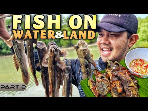EP888-P2 - Mudskippers Catch and Cook