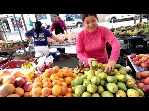 Feira livre da Cidade de Frei Miguelinho Pernambuco 02/12/2025. Vem conferir.