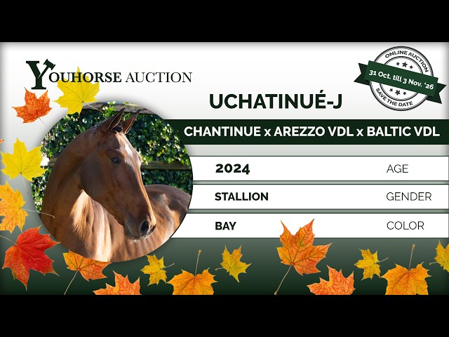 Uchatinue