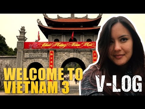 VIETNAM VLOG 3 - Ausflug in die Ninh Binh Provinz: Hoa Lu, Paddelbootfahren in Tam Coc, Reisfelder