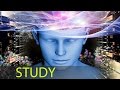 6 Hour Study Music Alpha Waves Studying Music Calm Music Focus Music Concentration Music 161