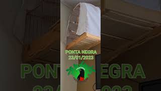 PONTA NEGRA DANDO AULA PARA OS PARDOS DA TEMPORADA