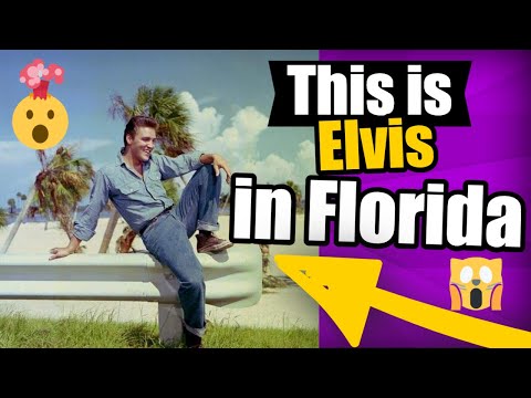 Follow That Dream Movie Locations Summer of 1961 Inverness Ocala Inglis and Yankeetown