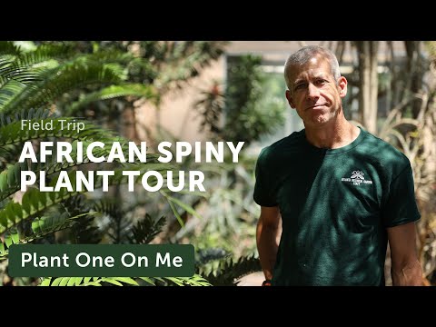 Madagascar & South Africa SPINY SUCCULENT Tour — Ep. 321