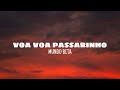 Voa voa passarinho - Mundo Bita (lyrics)