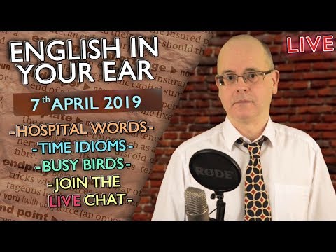 ENGLISH in your EAR / Live Chat / 7th April 2019 / Improve Your Listening with Misterduncan