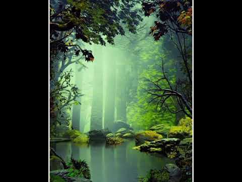 beautiful #meditation music# no copyright music# relaxing music with #nasreen nature of beauty