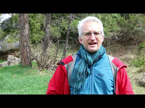 Amateur Archaeologist in Switzerland Unearths 2,000-Year-Old Roman Dagger