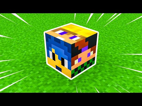 NON ROMPERE I BLOCCHI DEGLI YOUTUBERS FAMOSI ! - Minecraft ITA