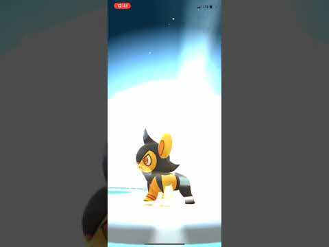 Pokémon Go RARE SHINY LUXRAY EVOLUTION!