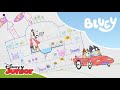 🎨 Bazgrołowa ucieczka | Blue | Disney Junior Polska
