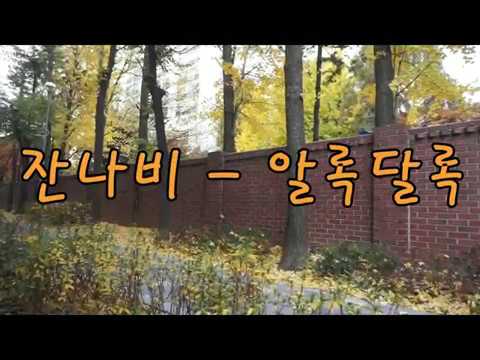 잔나비 - 알록달록 lockig dance