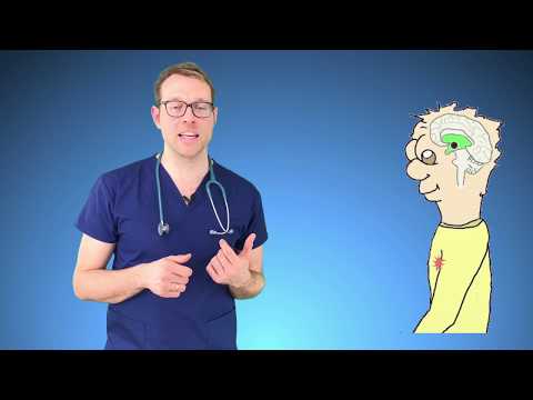 Mein Kind hat: Fieber