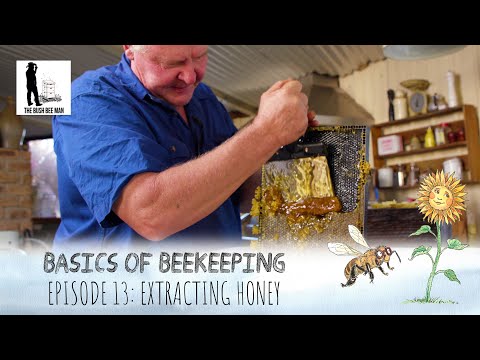 How to extract honey without an extractor | The Bush Bee Man