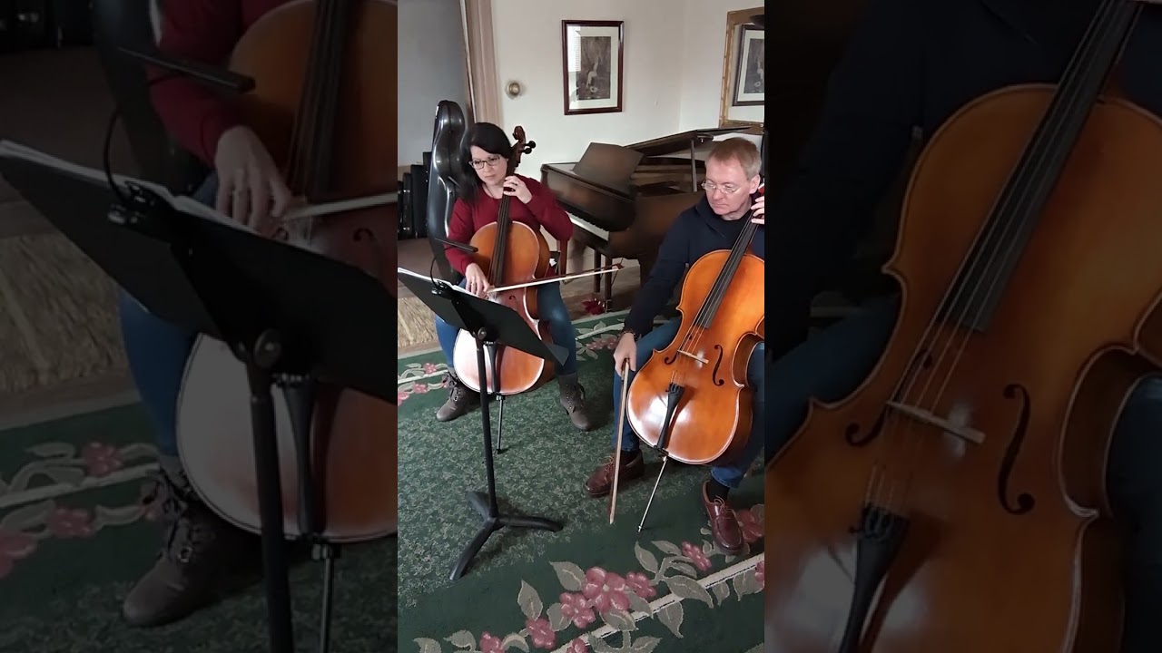 Promotional video thumbnail 2 for You Had Me at Cello