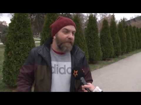 DJ ZOKI BEJBE I NEGOVATA VTORA LJUBOV - LONGBOARD