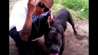 C-kan Ft Pitbull - Dáselo (Remix)