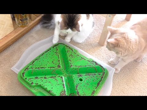 COMPOSTING WORMS - UPDATE!!!