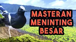 Download lagu Masteran burung meninting besar / kacer air gacor pancingan dan pemandangan danau serta teratai. mp3 Download lagu Masteran burung meninting besar / kacer air gacor pancingan dan pemandangan danau serta teratai. mp3