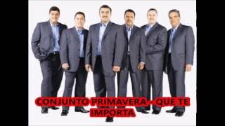 Conjunto Primavera  - Que te importa