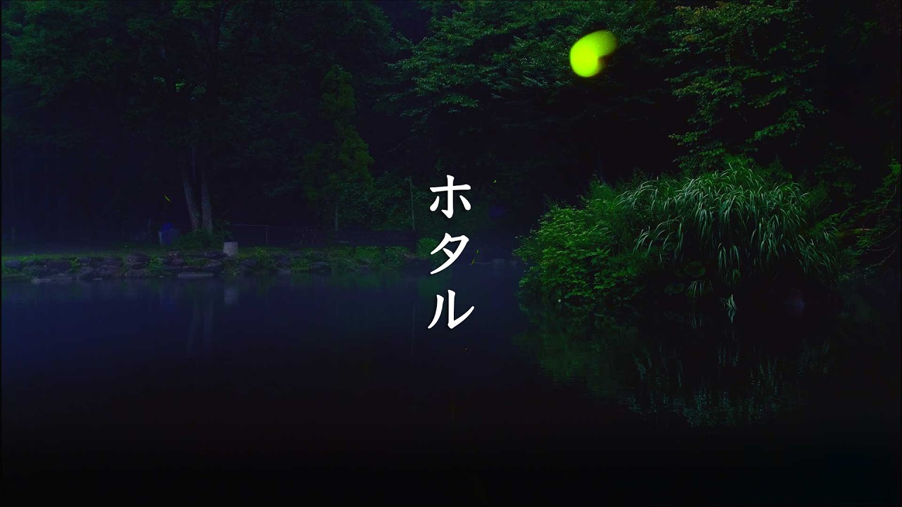 Hotaru Firefly Viewing Area