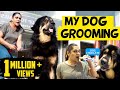 My Dog Grooming | Fun Vlog with Uma Riyaz