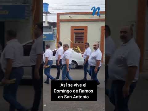 Así se vive el Domingo de Ramos en San Antonio | #sanantonio #frontera #tachira
