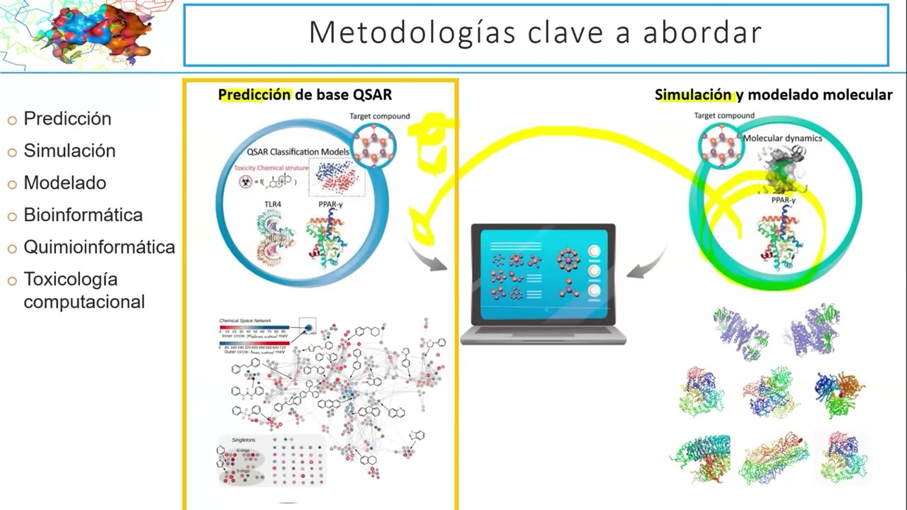 Toxicología computacional panorama actual, perspectivas futuras y desafíos