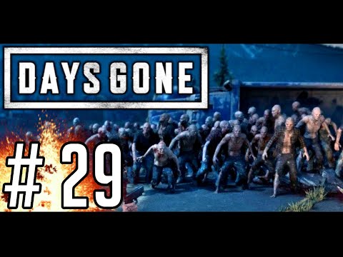 DAYS GONE [#29] - Największa Horda w Grze? || GAMEPLAY PL