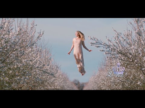 Stive Morgan "THE VALLEYS OF DREAMS" ♔LONA