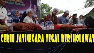 preview picture of video 'Dokumentasi Cerih Jatinegara Tegal Bersholawat'