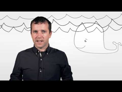 How to explain Benefits to Customer? Taking Marketing Example of Whale Vomit - Value Proposition