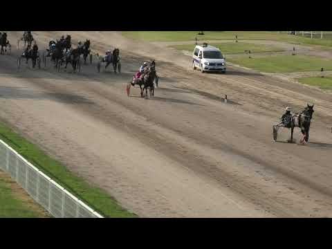 Trka "Libero doo-Pančevo" 23.08.2020  Saphir AT - Miodrag Pantić