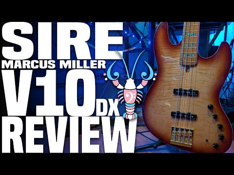 Sire V10dx Review - Is the top tier V worth the price? - LowEndLobster Review