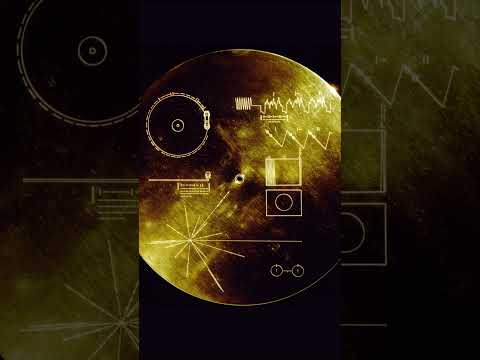PJ Harvey - Voyager (Vídeo oficial)