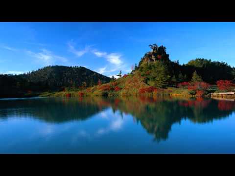 joshuadebono’s Video 24611376891 leiUfITUaF4