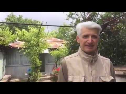 From the depths of the Lower Danube Prairie