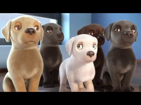 Pip | A Short Animated Film by Southeastern Guide Dogs/beauty pets.#Guidedog