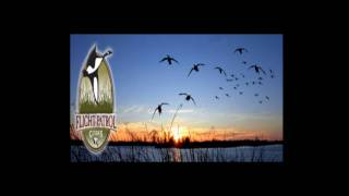 preview picture of video 'Spring Snow Goose Hunting with Flight Patrol Guide Service 2010'