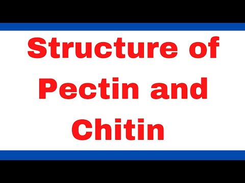 What are pectins in biochemistry?