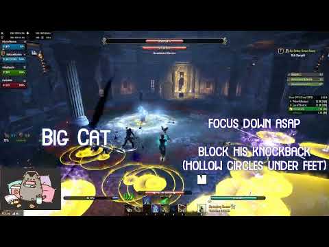 Coral Aerie Hardmode Guide [Ascending Tide]