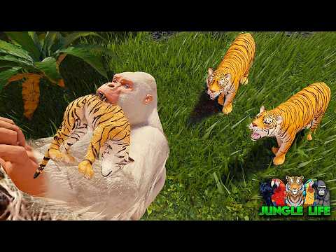Albino Gorilla Stealing Tiger Cubs For Food! | ROBLOX Jungle Life