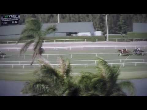 CHRISTMAS PAST S,G STAKES $75,000 2017 - SUSIE BEE !!!