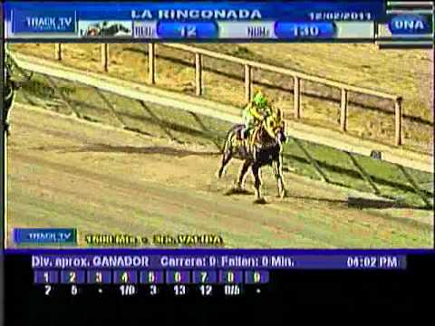 Sábado, 12 de Febrero de 2011 ----- La Rinconada