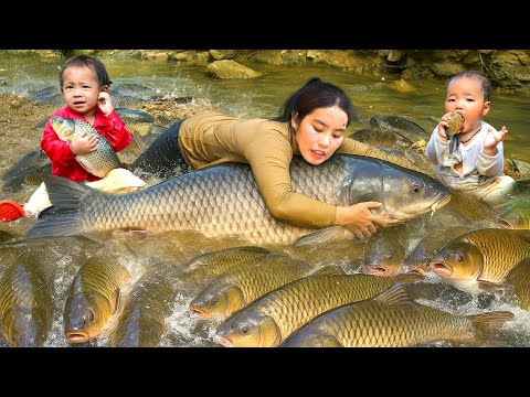 Encounter a huge school of fish - Catch fish & trap fish on a rainy day - Make smoked fish